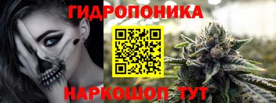 прущие крисы Тверь