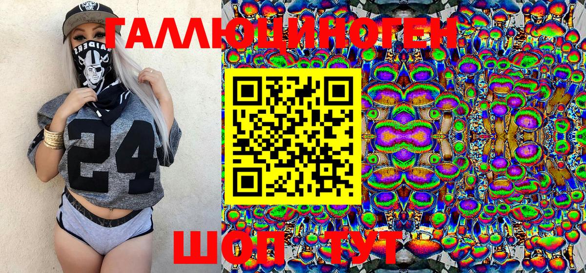Галлюциногенные грибы Psilocybe Мариинск